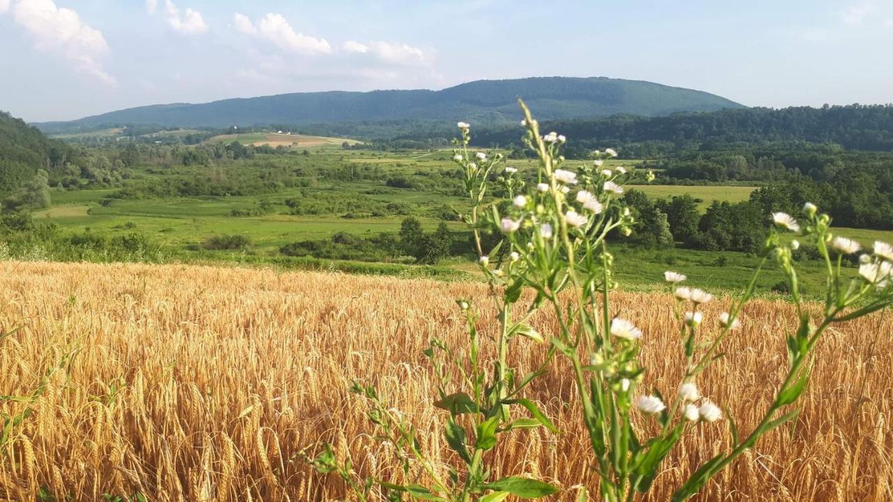 Peace Of Nature *** สลูน ภายนอก รูปภาพ